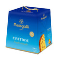 Panettone Traditional