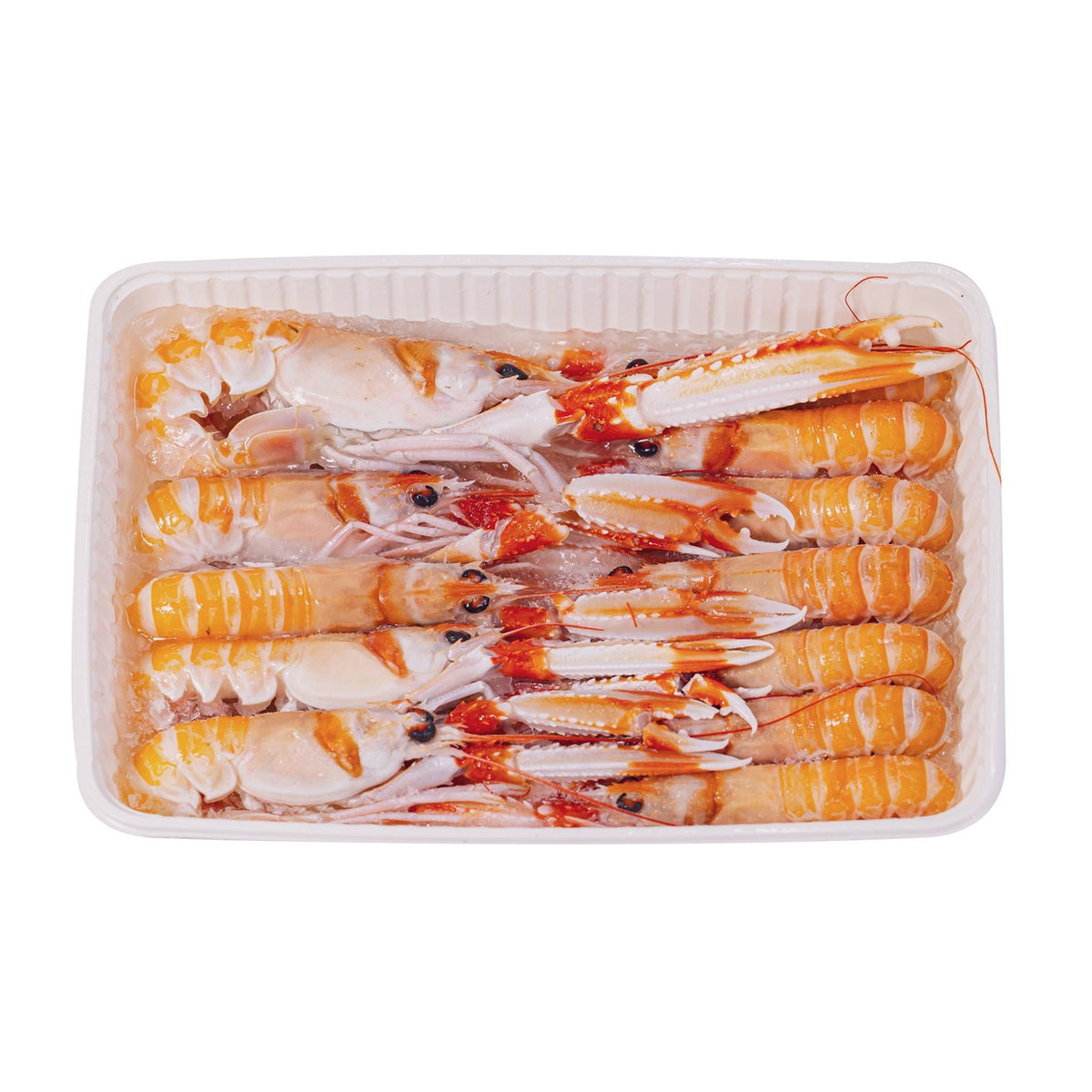 Langoustine from Sicily Frozen 10-15pcs