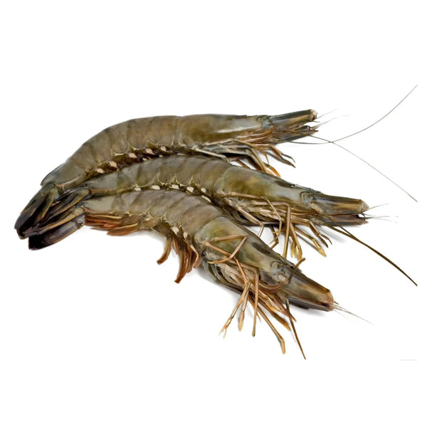 Black Tiger Shrimp Whole Colossal Frozen U5