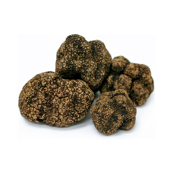 Fresh Black Truffle - Tuber Indicum