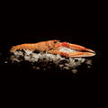 Langoustine from Sicily Frozen 10-15pcs
