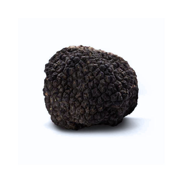 Black Summer Truffle - Tuber Aestivum - 1st Choice Frozen