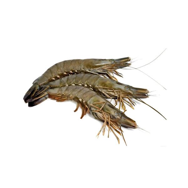 Black Tiger Shrimp Whole Small Frozen 30-40pcs