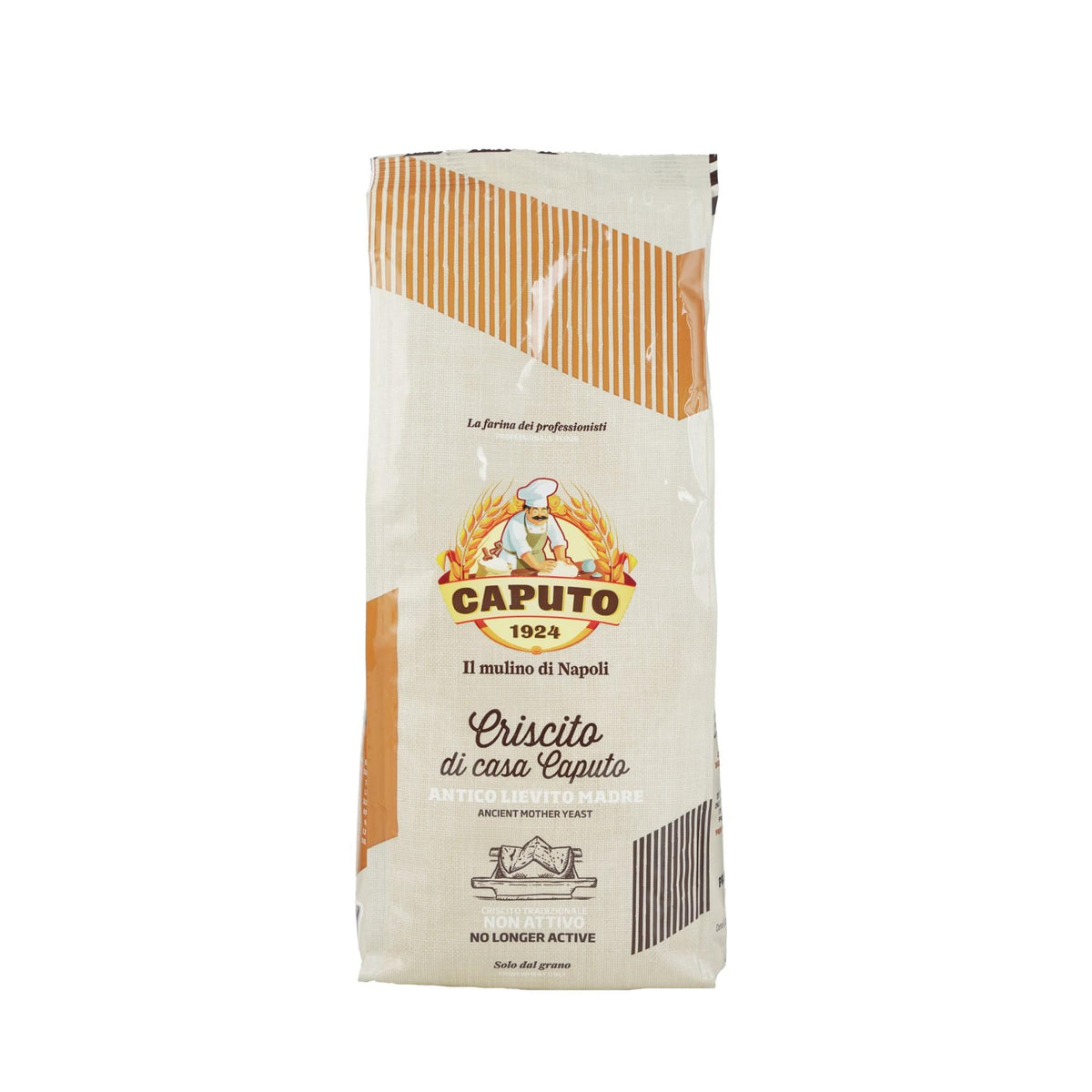 Mother Yeast Ancient Criscito from Naples