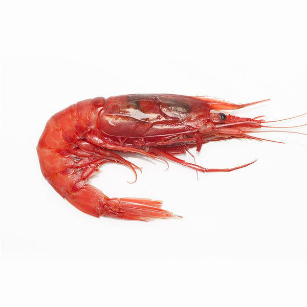 Gambero Rosso Mazara XXL Frozen 20-25pcs